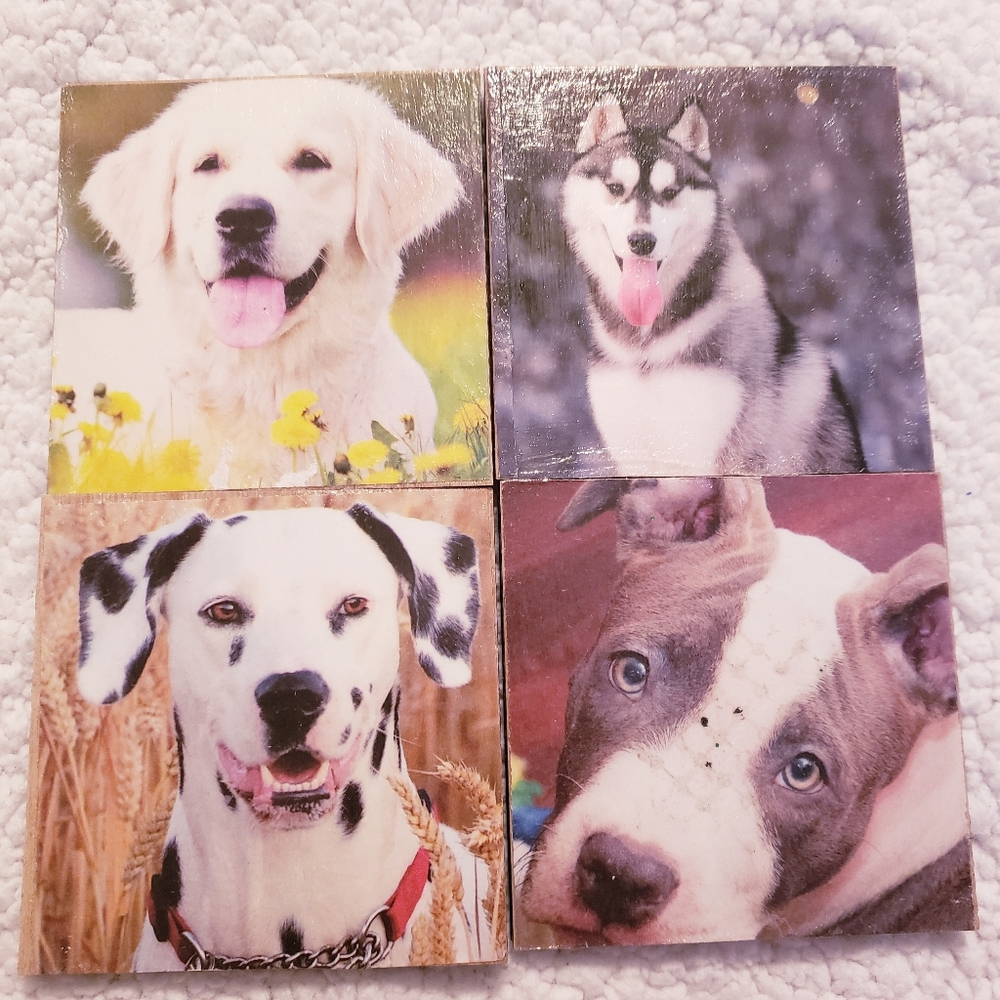 Set of 4 Handmade Laminate Table Dog Coasters.